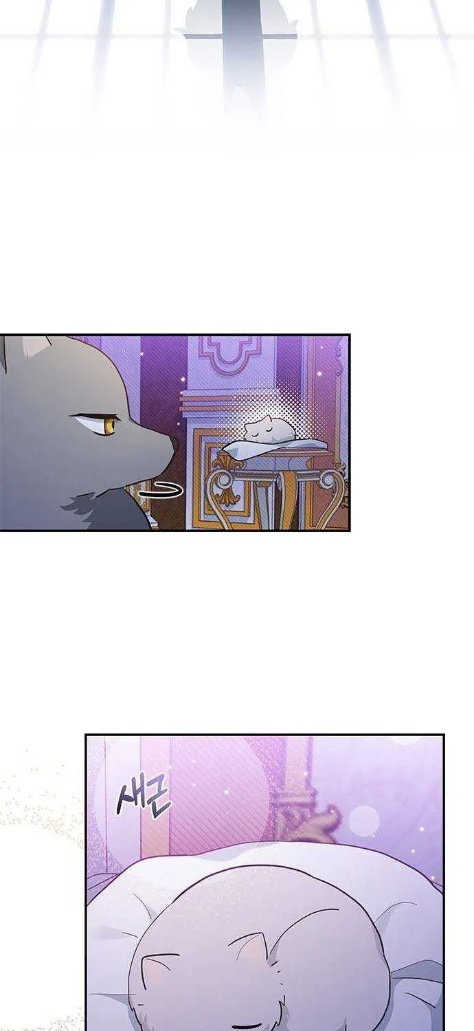 You’re a Cat, But You’ve Been Adopted by a Wolf Family? Chapter 5 page 42 - 