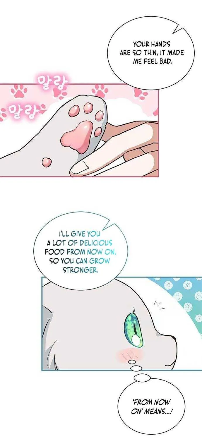 You’re a Cat, But You’ve Been Adopted by a Wolf Family? Chapter 6 page 13 - 