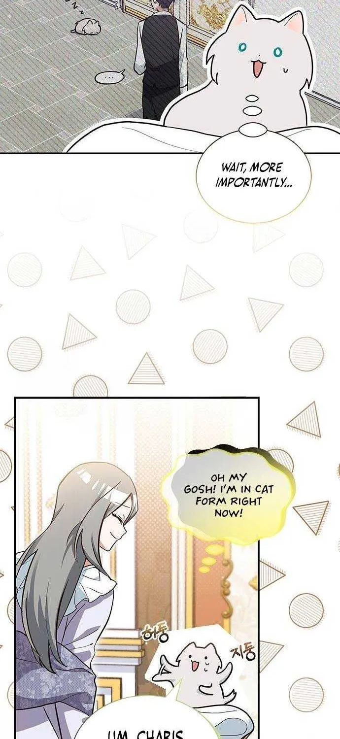 You’re a Cat, But You’ve Been Adopted by a Wolf Family? Chapter 6 page 3 - 