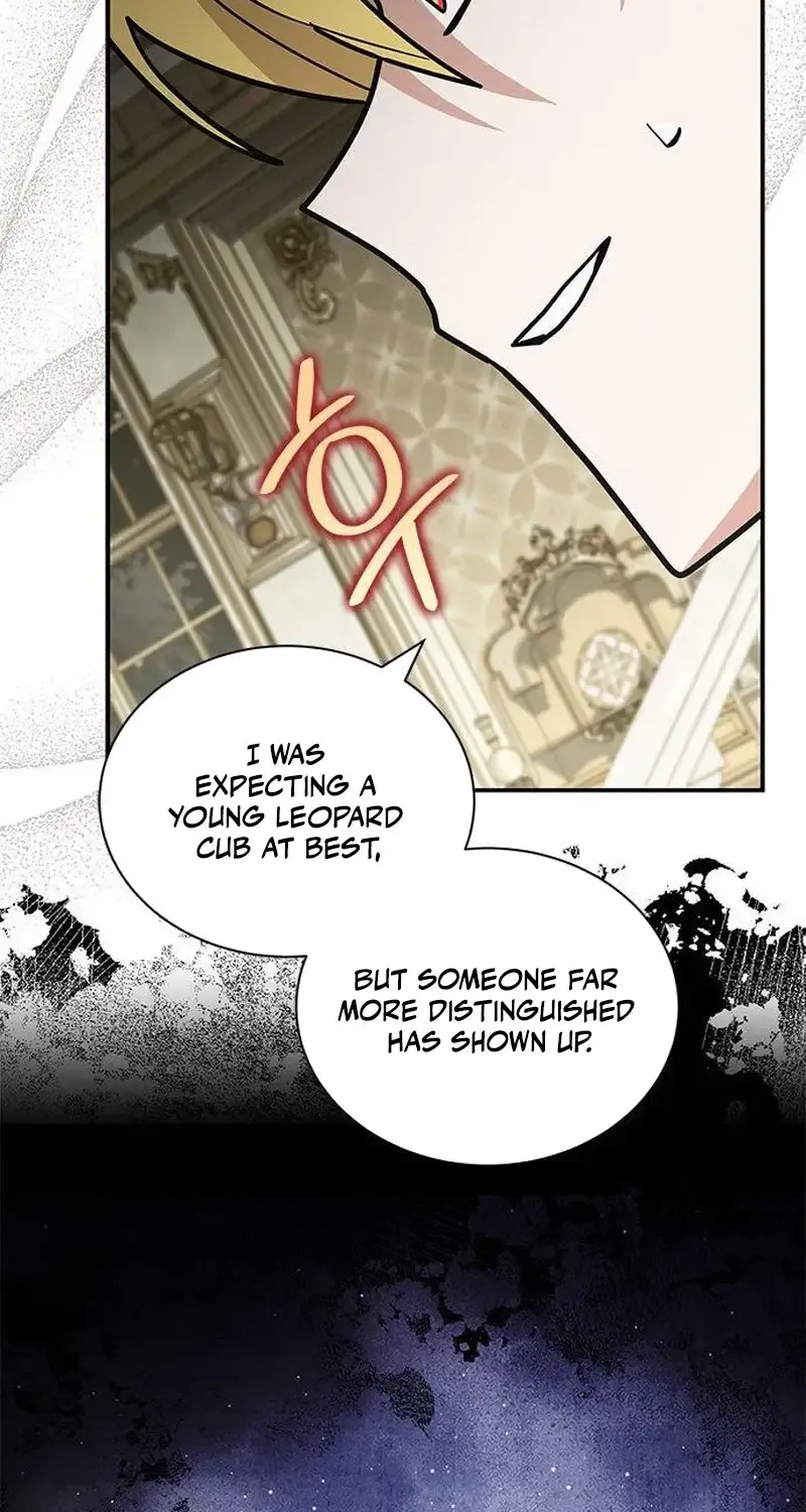 You’re a Cat, But You’ve Been Adopted by a Wolf Family? Chapter 62 page 76 - 