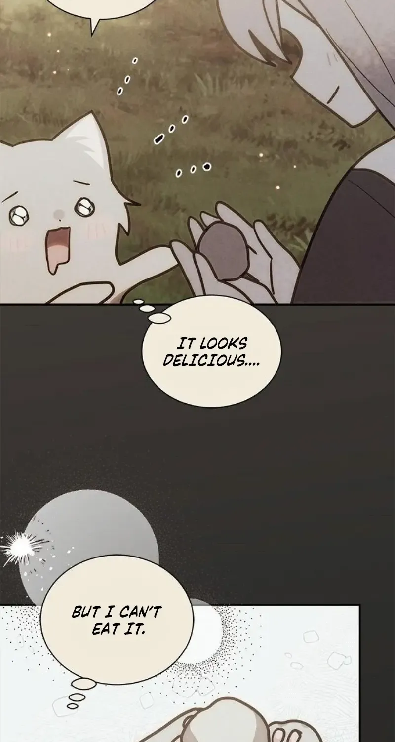 You’re a Cat, But You’ve Been Adopted by a Wolf Family? Chapter 66 page 34 - 