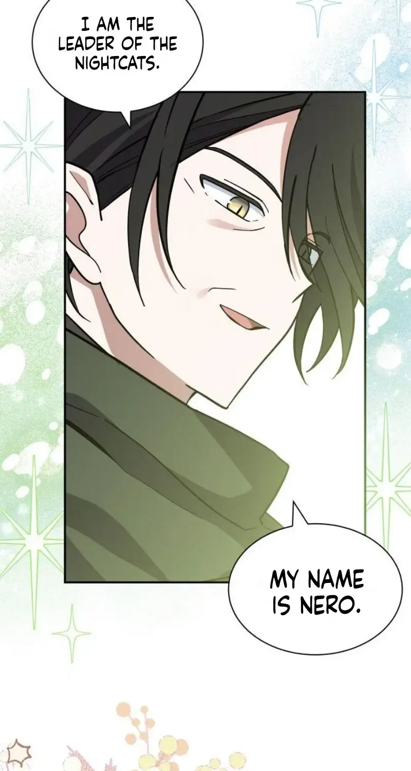 You’re a Cat, But You’ve Been Adopted by a Wolf Family? Chapter 69 page 37 - 