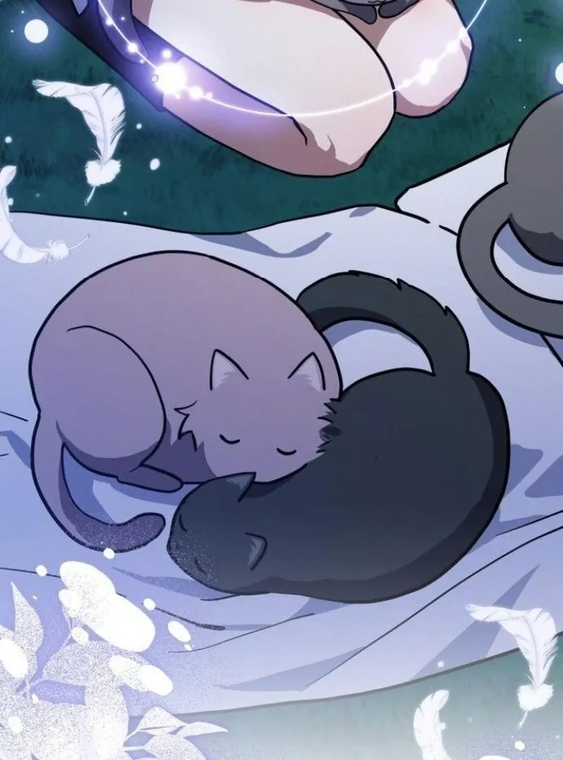 You’re a Cat, But You’ve Been Adopted by a Wolf Family? Chapter 72 page 26 - 