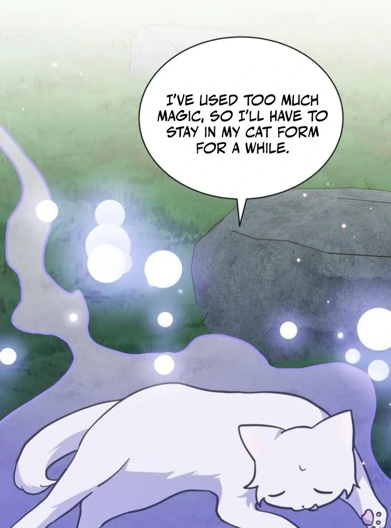 You’re a Cat, But You’ve Been Adopted by a Wolf Family? Chapter 72 page 32 - 