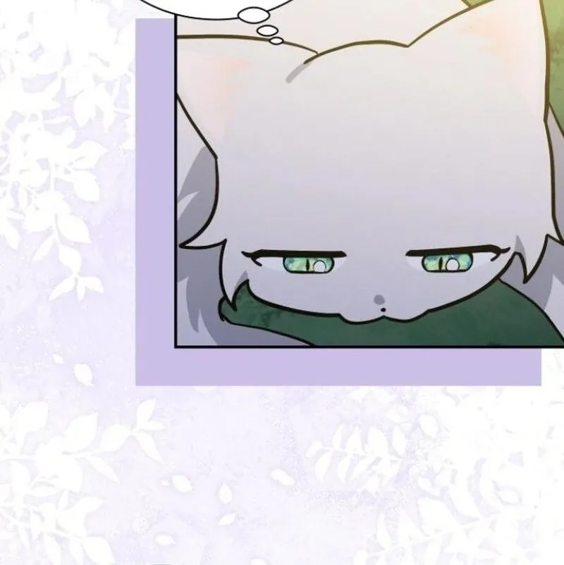 You’re a Cat, But You’ve Been Adopted by a Wolf Family? Chapter 72 page 34 - 
