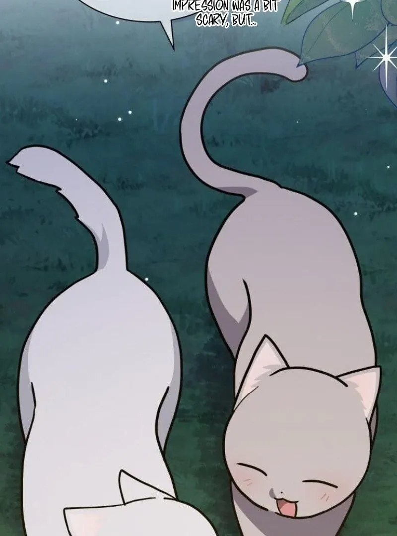 You’re a Cat, But You’ve Been Adopted by a Wolf Family? Chapter 72 page 54 - 