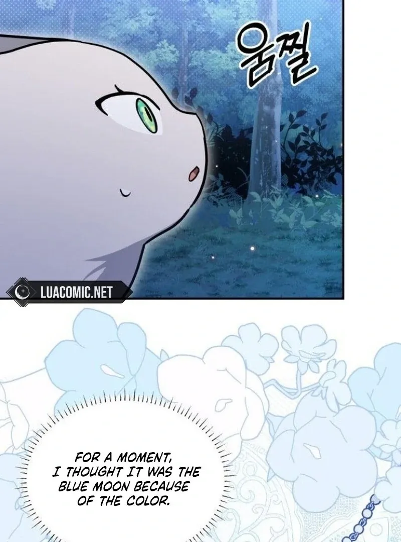 You’re a Cat, But You’ve Been Adopted by a Wolf Family? Chapter 72 page 70 - 