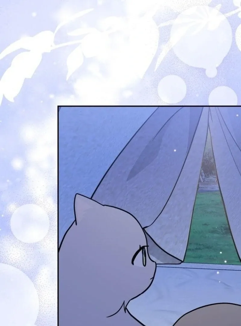 You’re a Cat, But You’ve Been Adopted by a Wolf Family? Chapter 73 page 82 - 