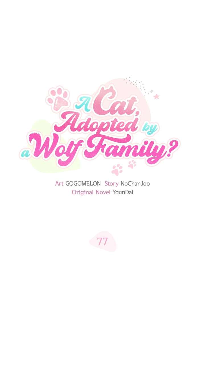 You’re a Cat, But You’ve Been Adopted by a Wolf Family? Chapter 77 page 17 - 