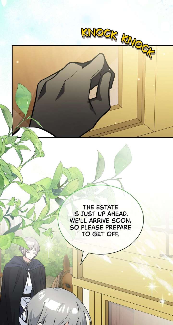 You’re a Cat, But You’ve Been Adopted by a Wolf Family? Chapter 77 page 40 - 
