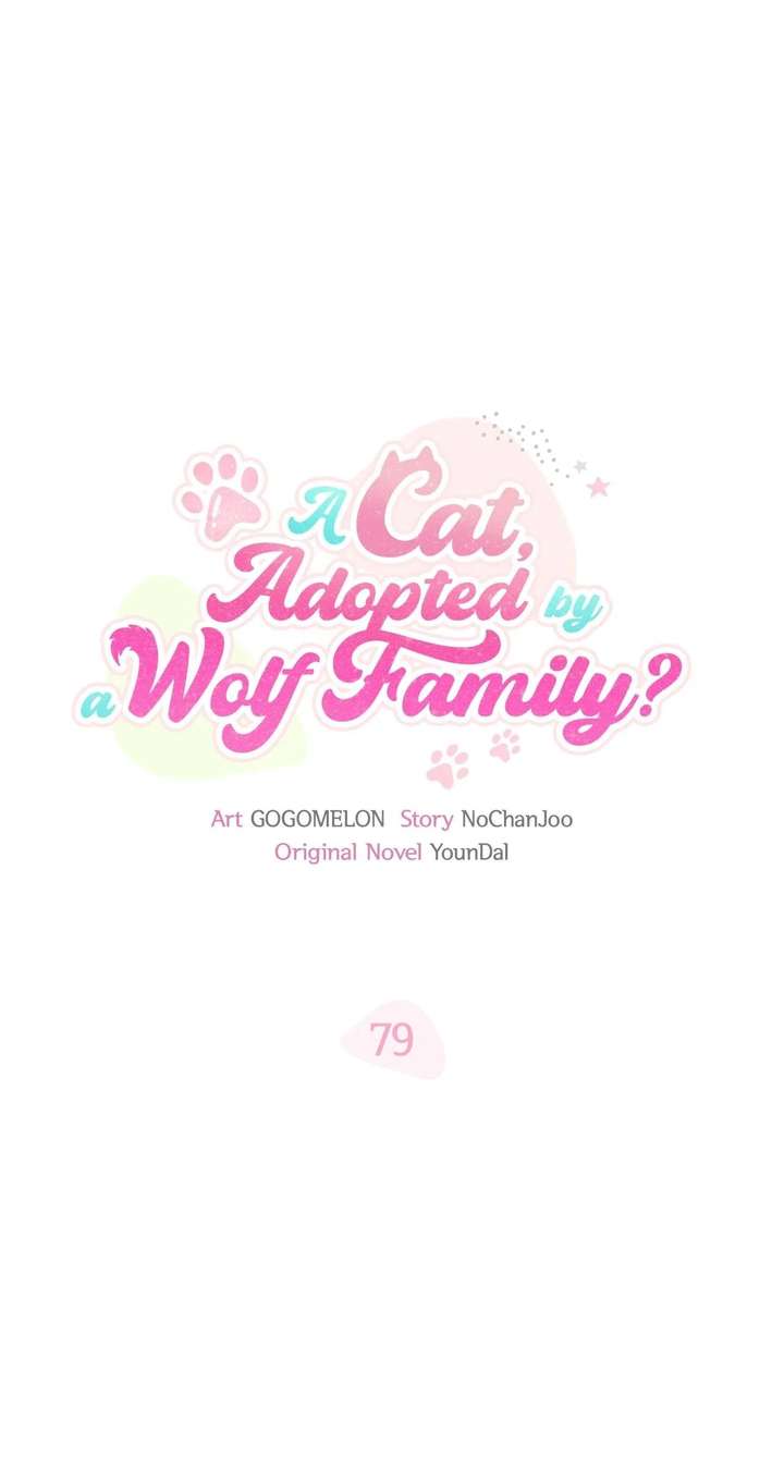 You’re a Cat, But You’ve Been Adopted by a Wolf Family? Chapter 79 page 2 - 