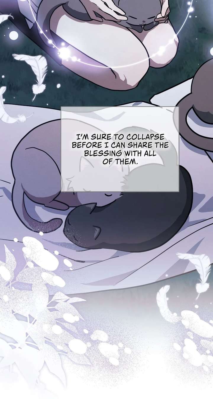 You’re a Cat, But You’ve Been Adopted by a Wolf Family? Chapter 79 page 85 - 