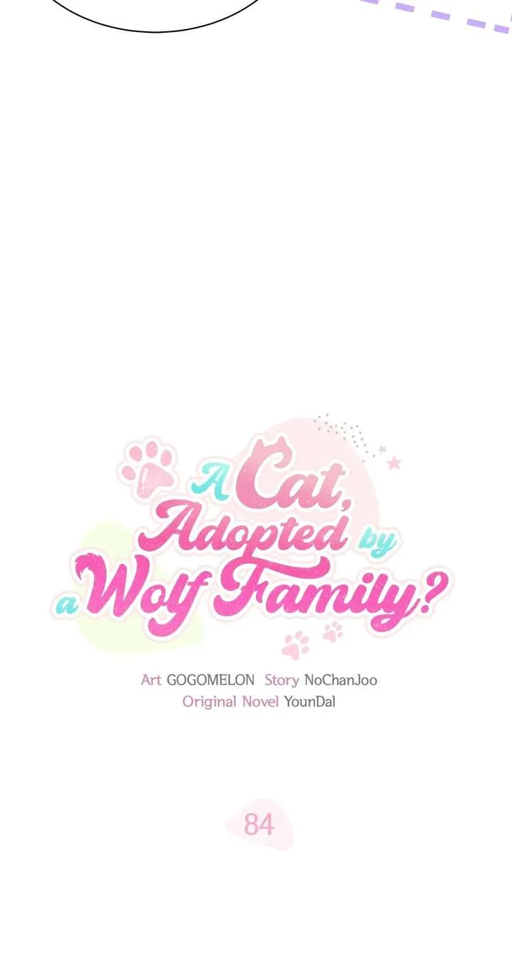 You’re a Cat, But You’ve Been Adopted by a Wolf Family? Chapter 84.1 page 25 - 