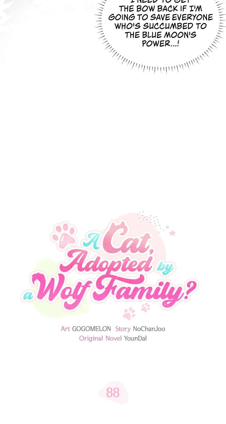 You’re a Cat, But You’ve Been Adopted by a Wolf Family? Chapter 88 page 28 - 