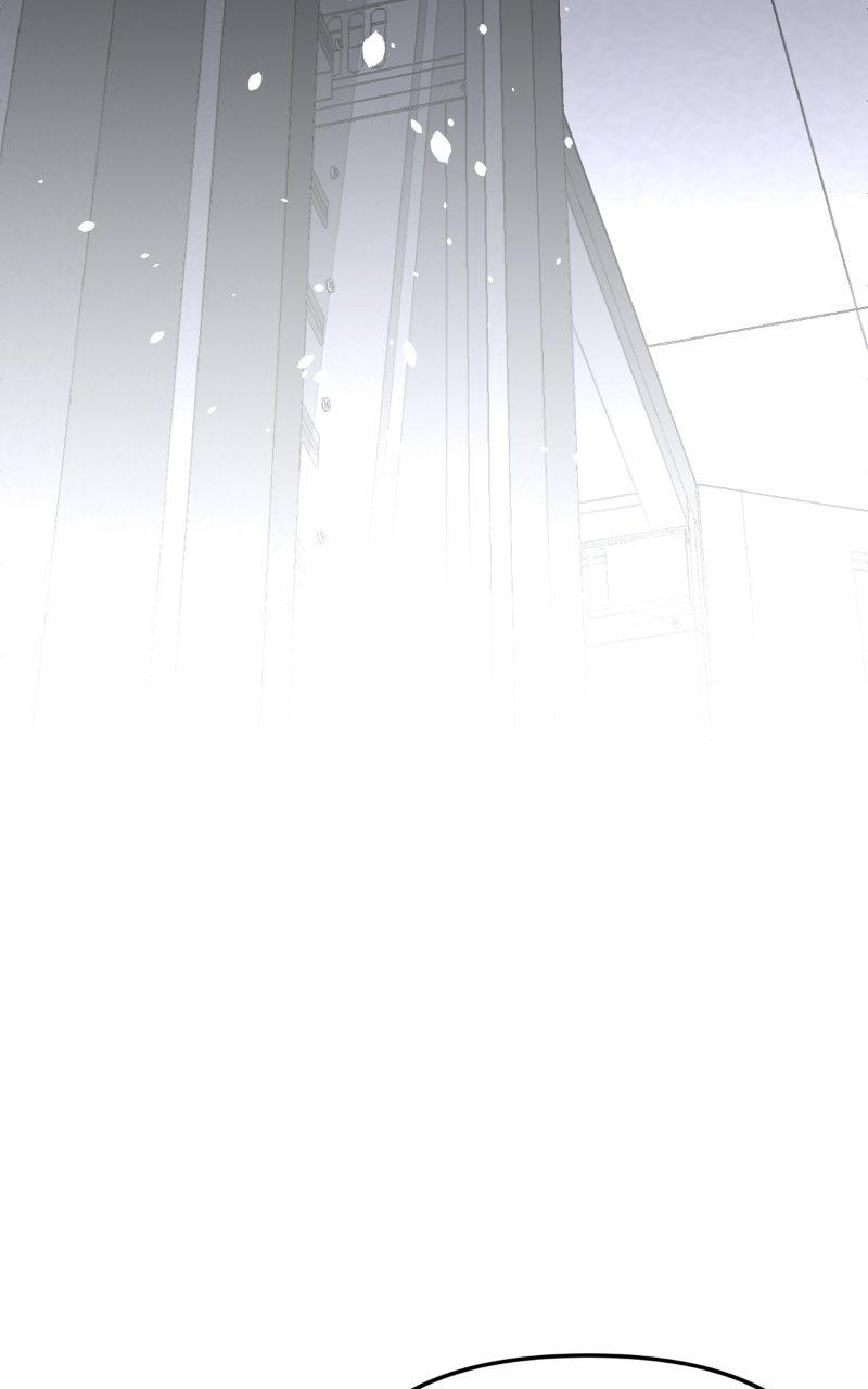 Youth Blossoms Chapter 32 page 21 - 
