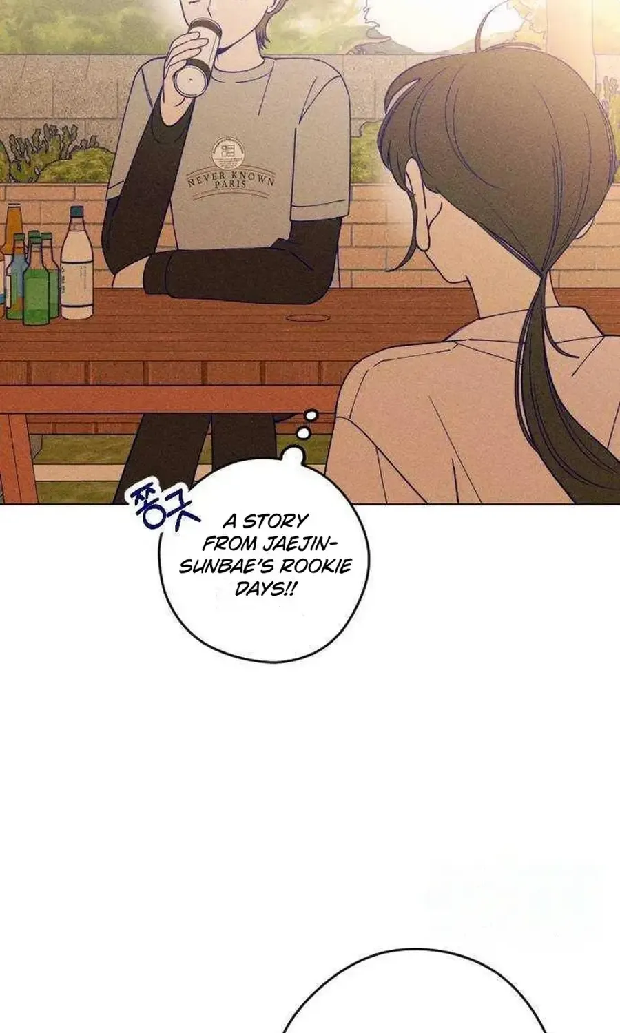 Youth Diary Chapter 19 page 17 - 