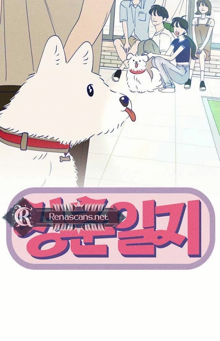 Youth Diary Chapter 604 page 15 - 