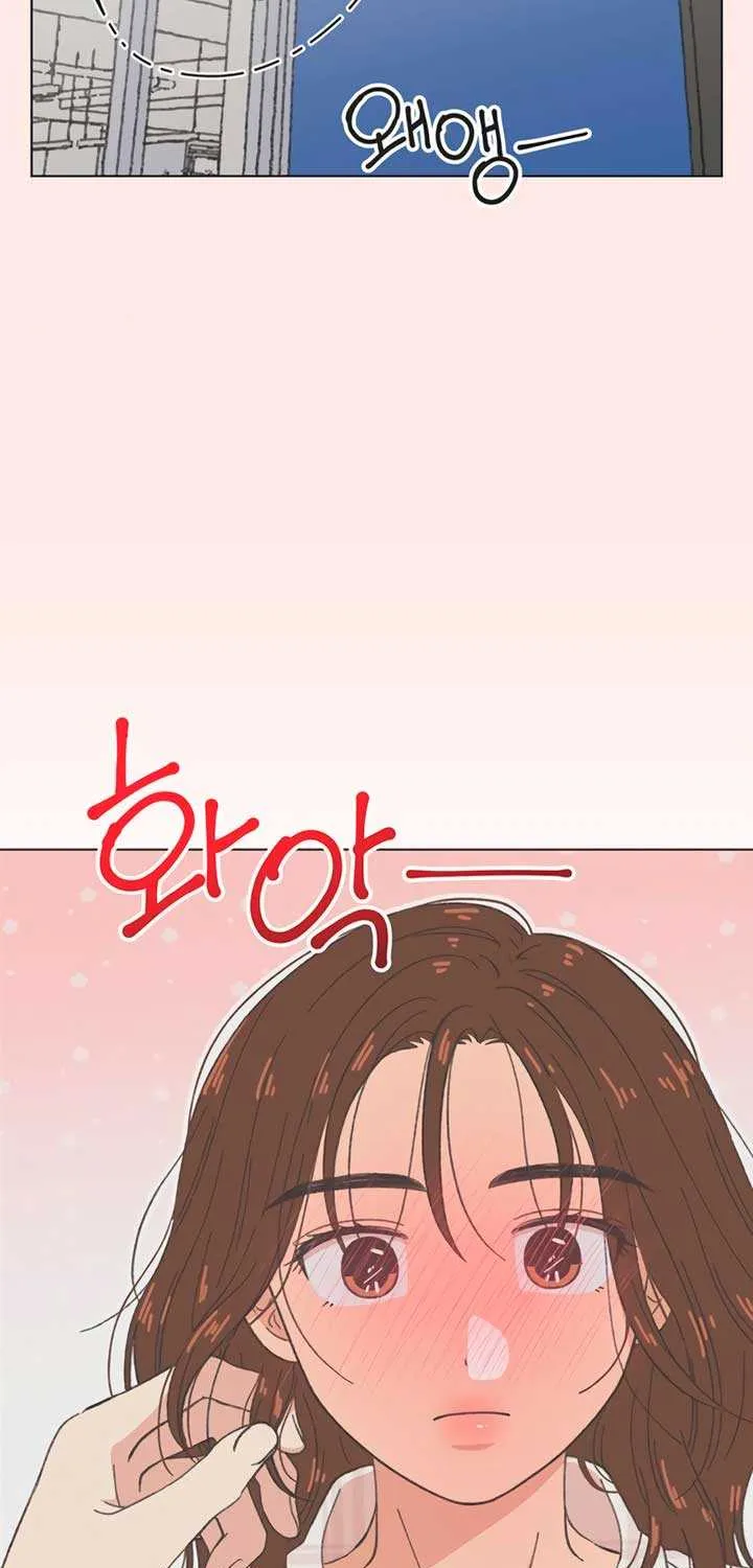 Youth Lovesome Chapter 47 page 14 - 