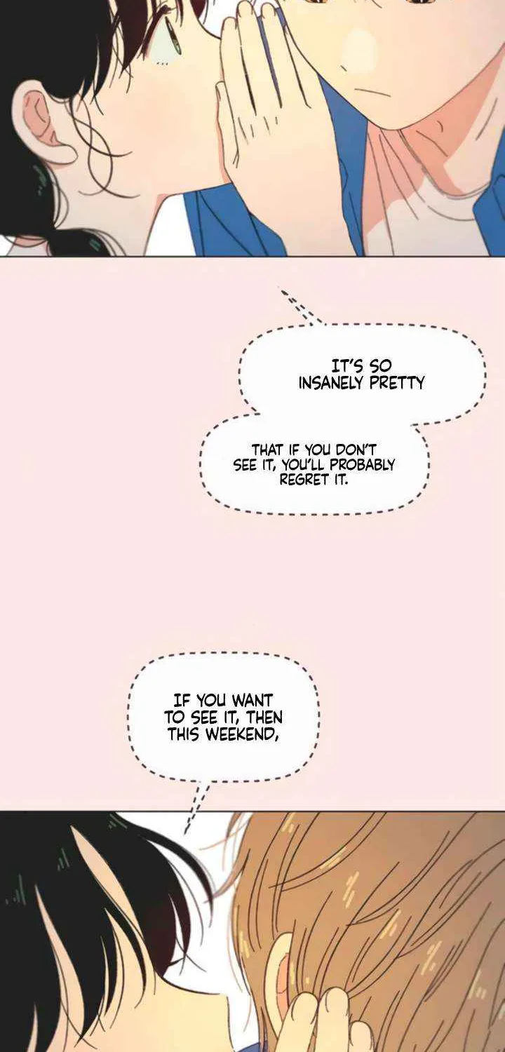 Youth Lovesome Chapter 57 page 43 - 