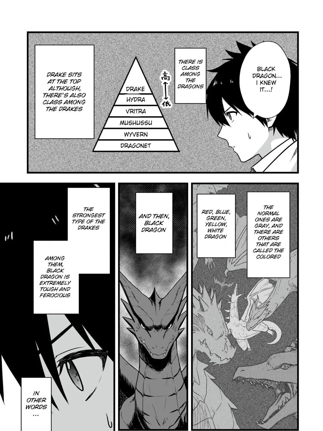 Yuiitsu Muni No Saikyou Tamer Chapter 3 page 21 - 