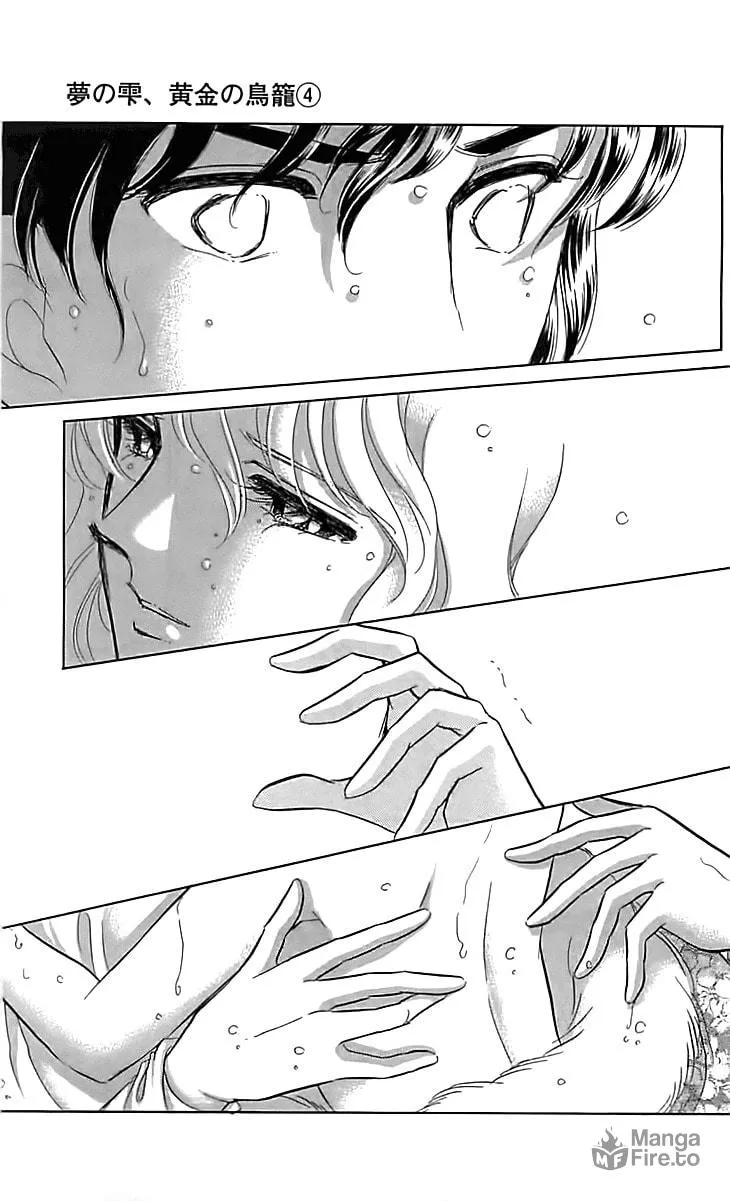 Yume no Shizuku Kin no Torikago Chapter 13 page 42 - 