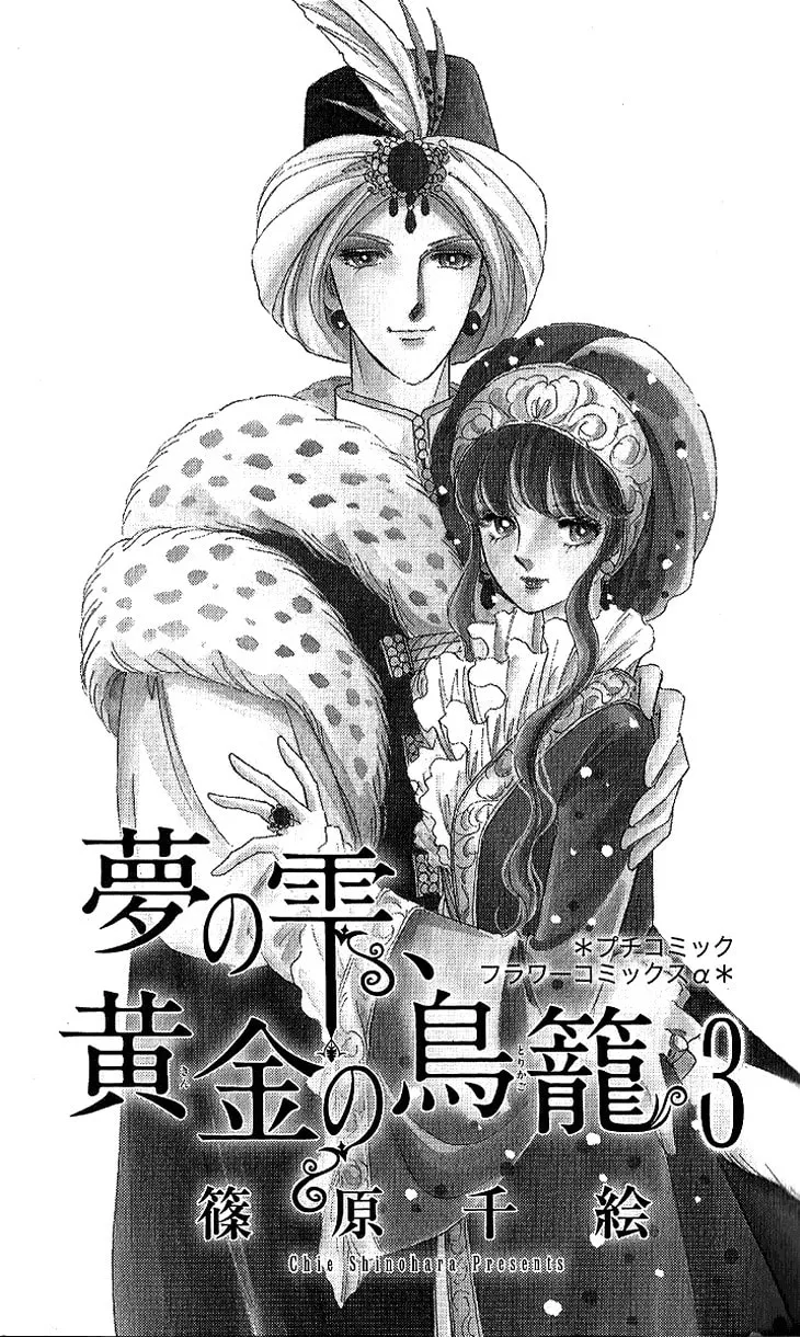 Yume no Shizuku Kin no Torikago Chapter 7 page 4 - 