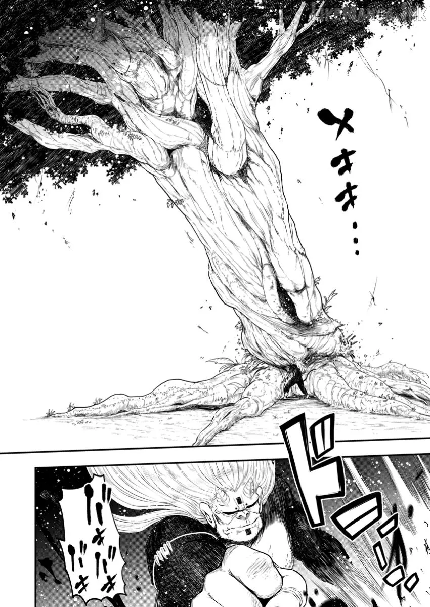 Zatsuyou Fuyojutsushi ga Jibun no Saikyou ni Kizuku made Chapter 33.1 page 3 - 