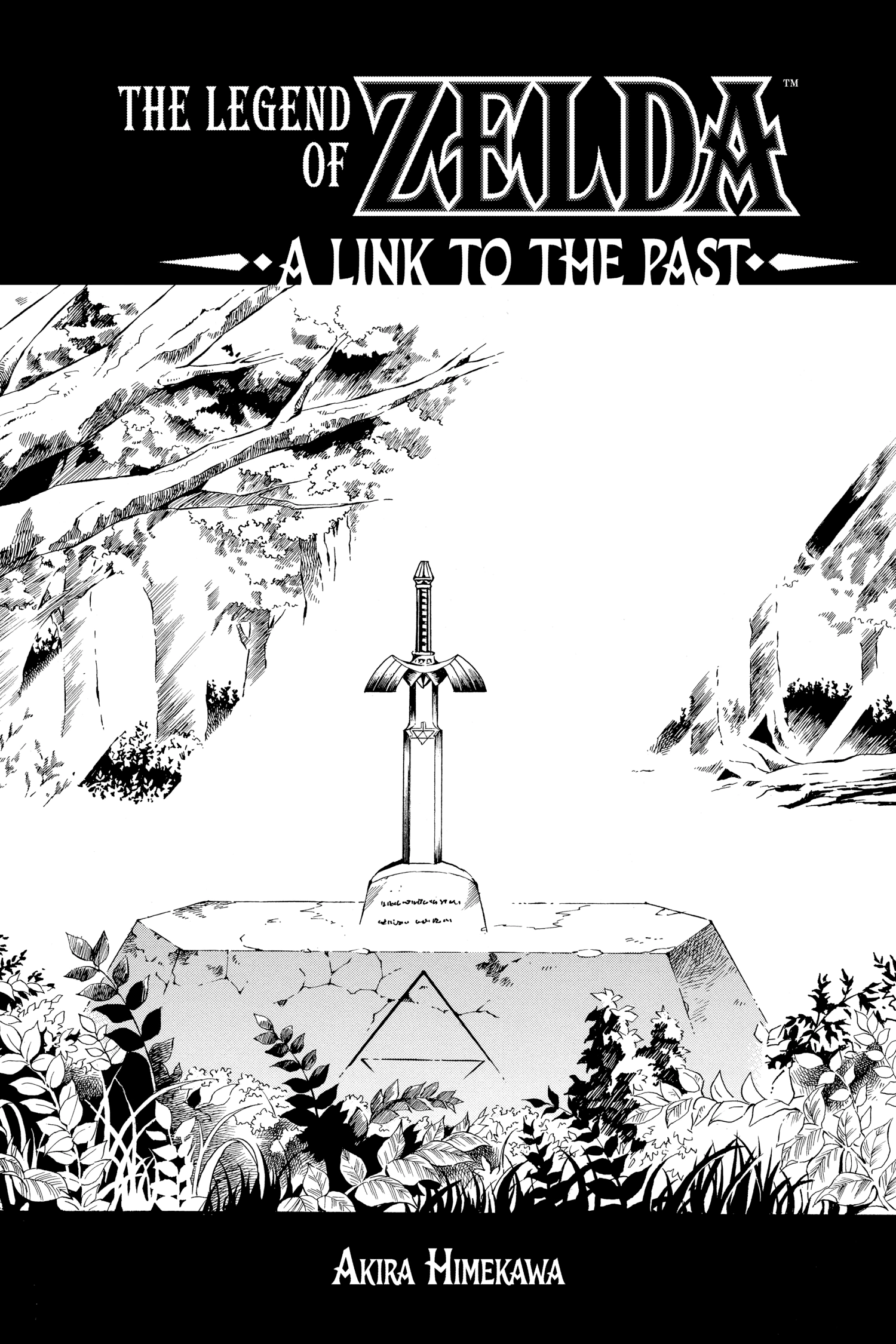 Zelda No Densetsu Toki No Ocarina Chapter 63 page 2 - 