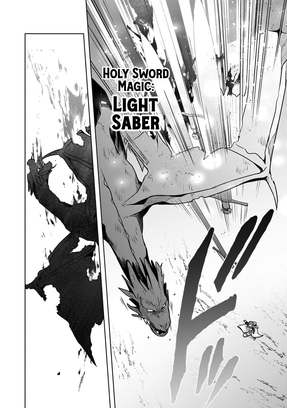 Zero Damage Sword Saint Chapter 17 page 9 - 