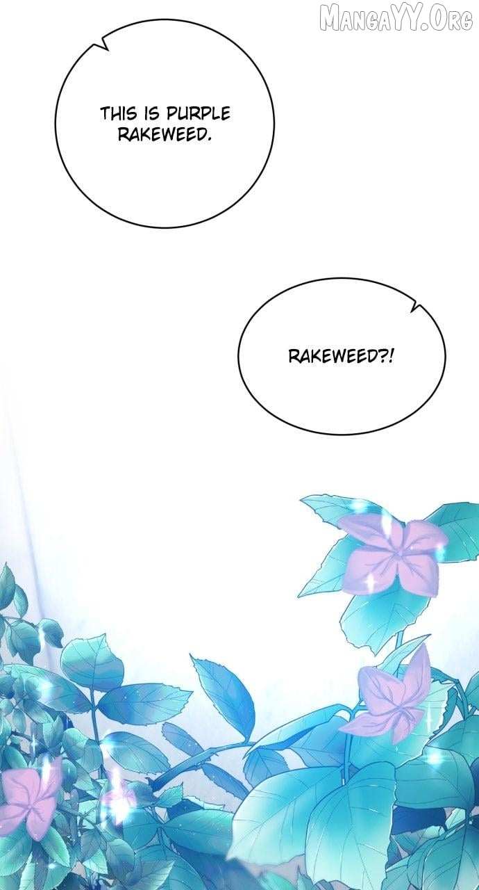 Zero Game Chapter 343 page 43 - 