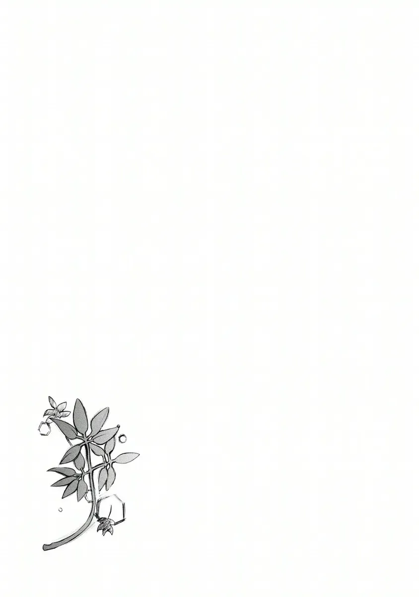 Zero No Tsukaima Gaiden: Tabasa No Bouken Chapter 7 page 33 - 