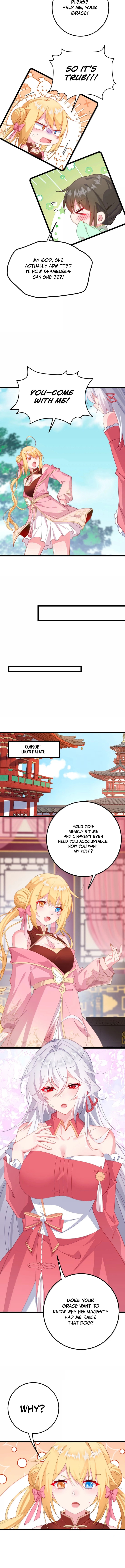 Zhuang Po Huangdi Nüer Shen Chapter 42 page 5 - 