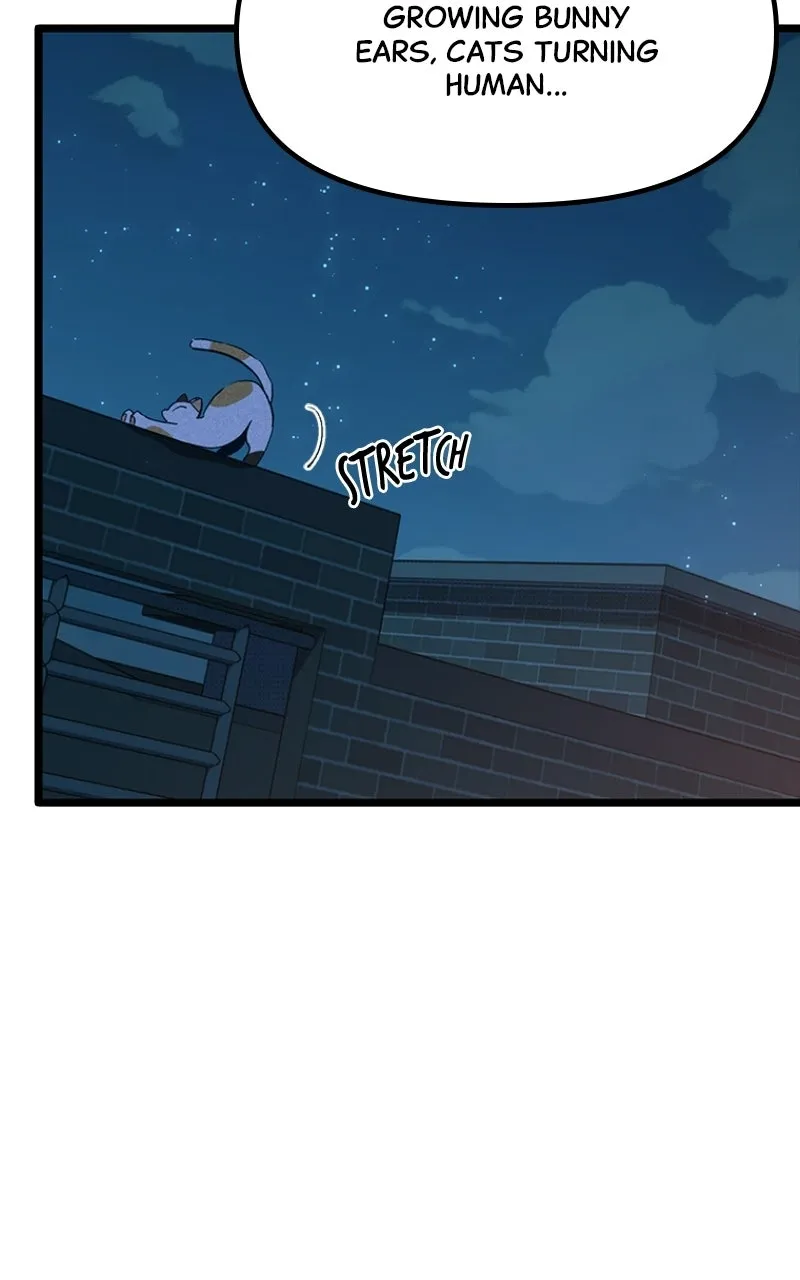 Zodiac Girls Chapter 19 page 69 - 