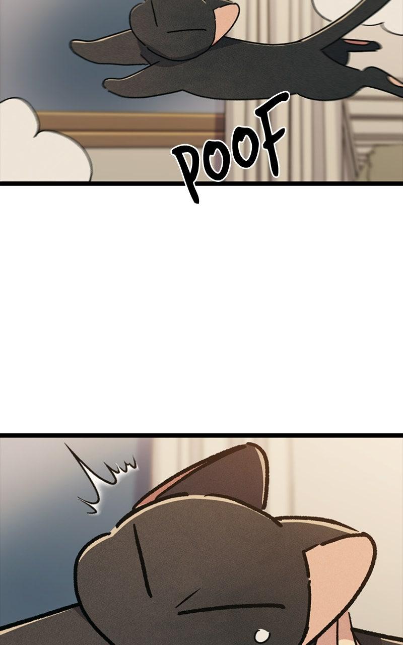 Zodiac Girls Chapter 32 page 84 - 