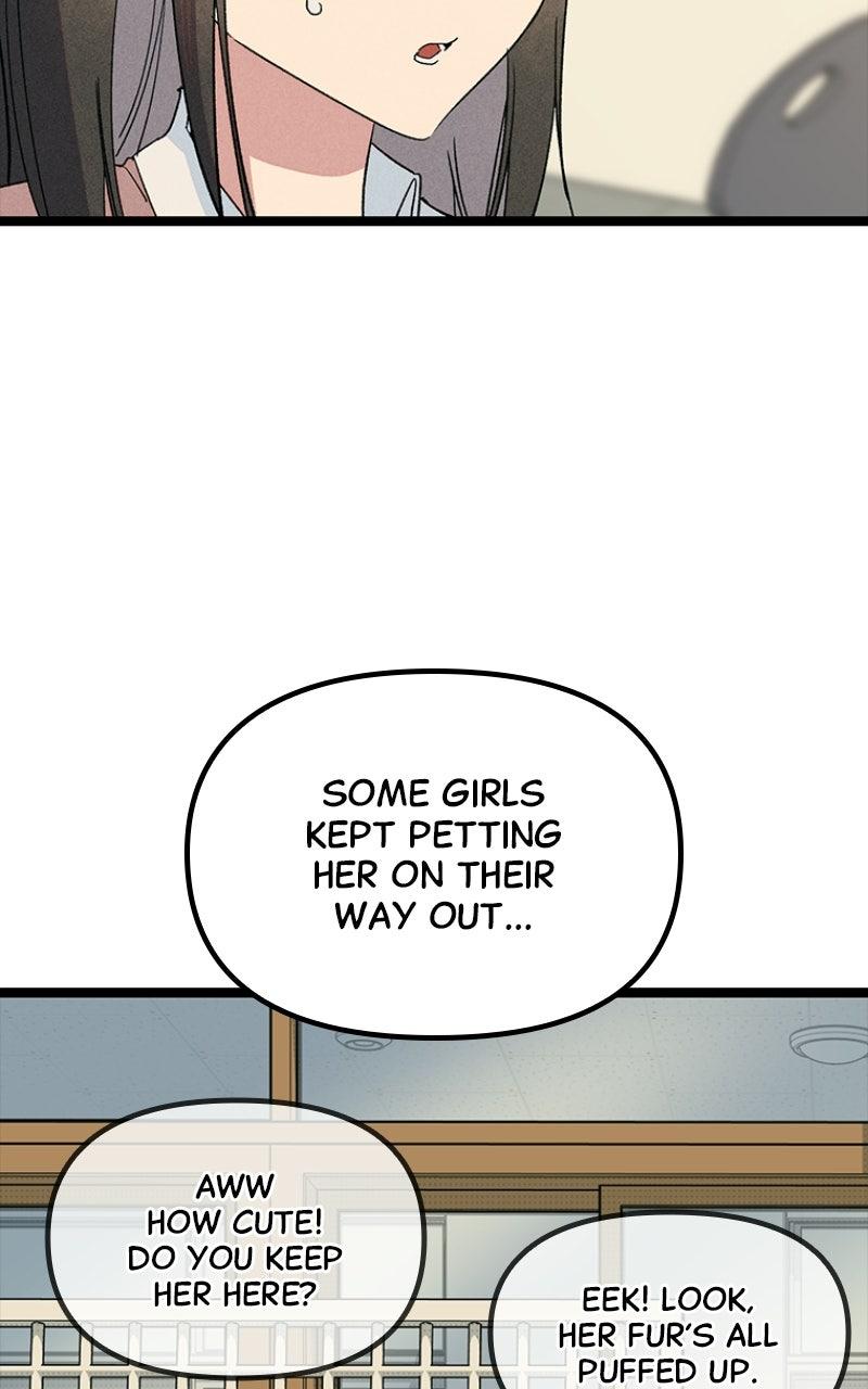 Zodiac Girls Chapter 33 page 65 - 