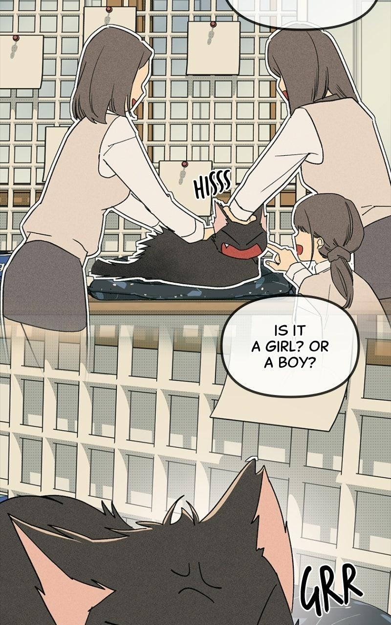 Zodiac Girls Chapter 33 page 66 - 